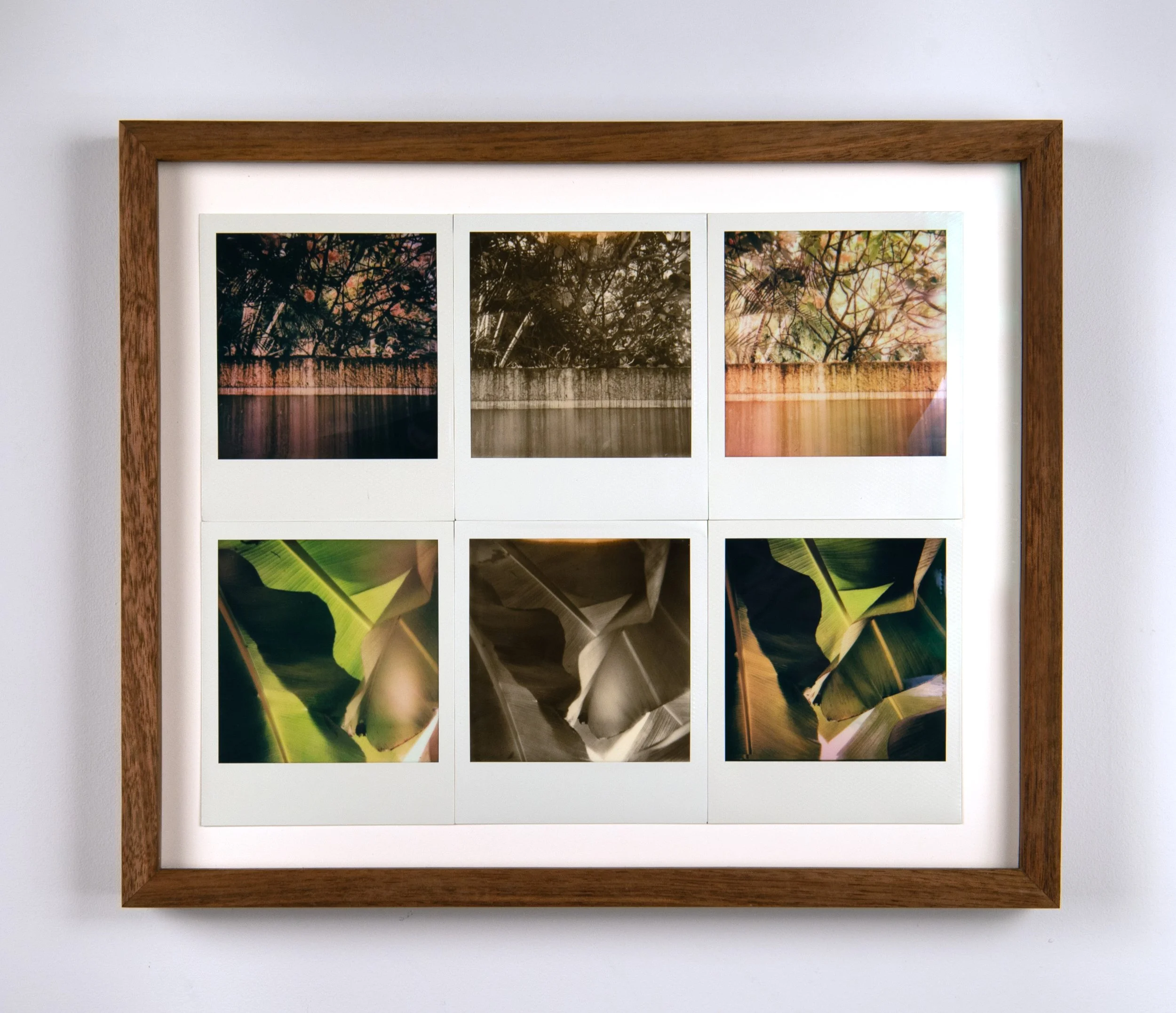   Light Study (San Juan),  2025 Polaroids 10 5/8 x 12 3/4 inches 