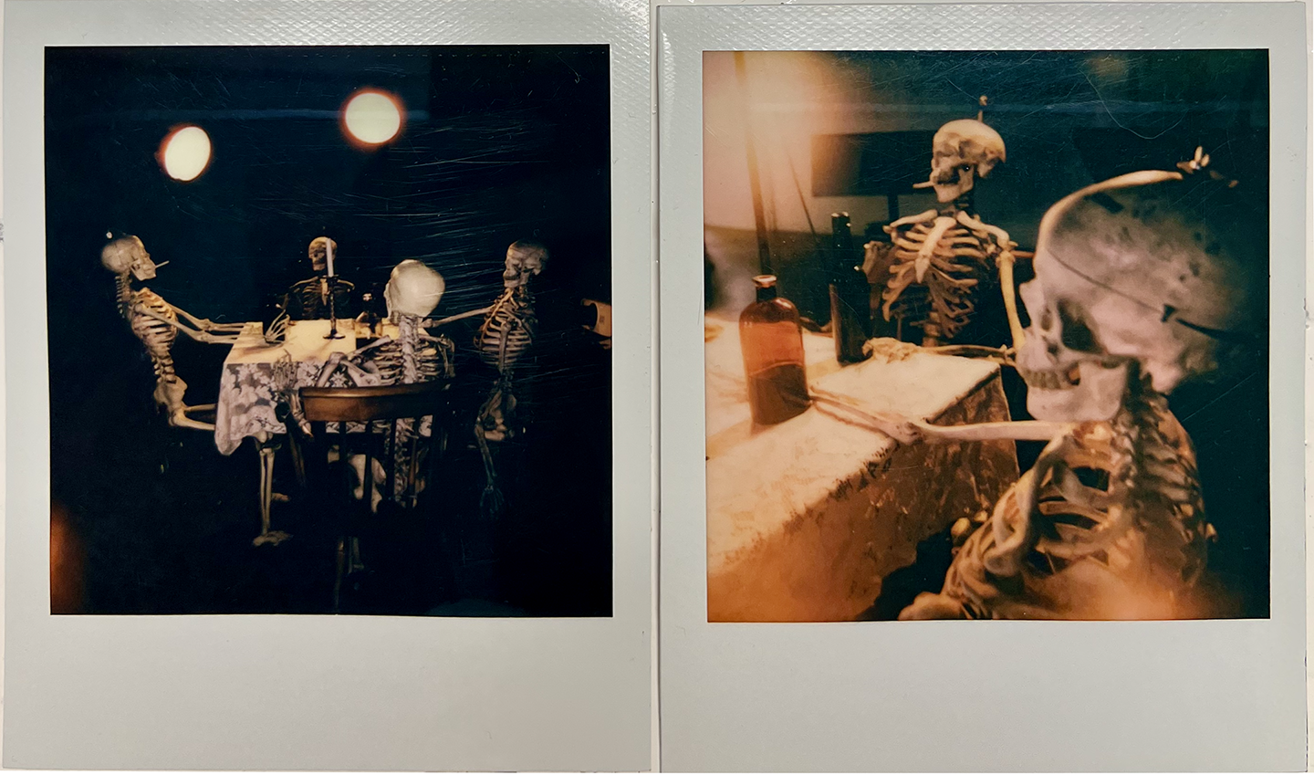   Assignment, Memento Mori Still Life (ARTS241),  2025 Polaroids 6 x 9 inches 