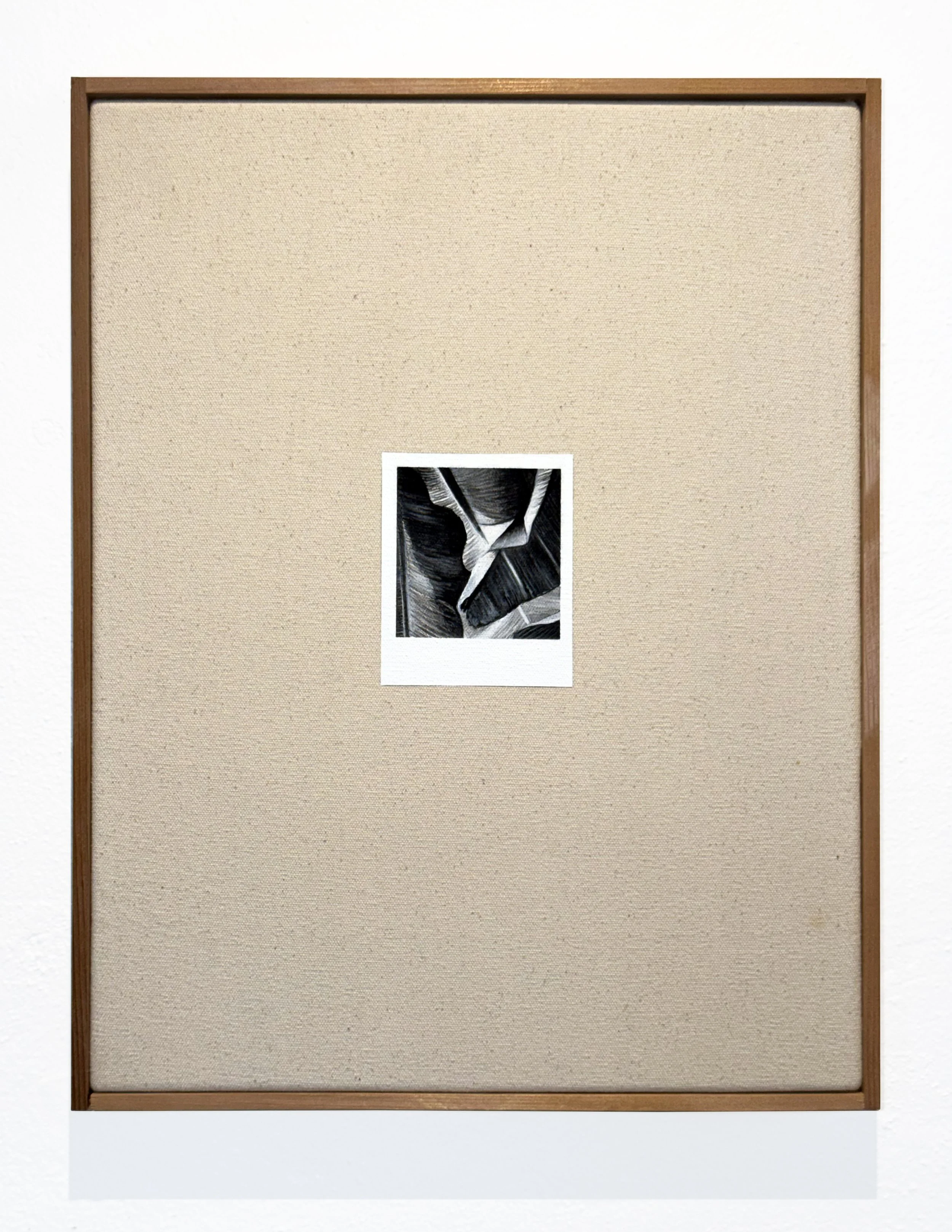   Untitled (Guineos) , 2026 Oil and gesso on canvas 14 × 18 inches (36 × 46 cm) in artist-made western cedar frame 