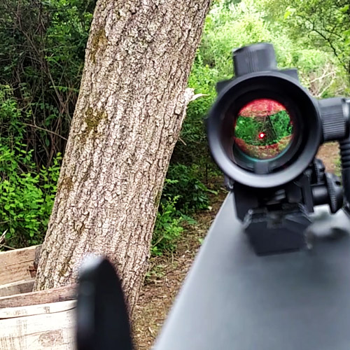 FPS Shots 2.jpg