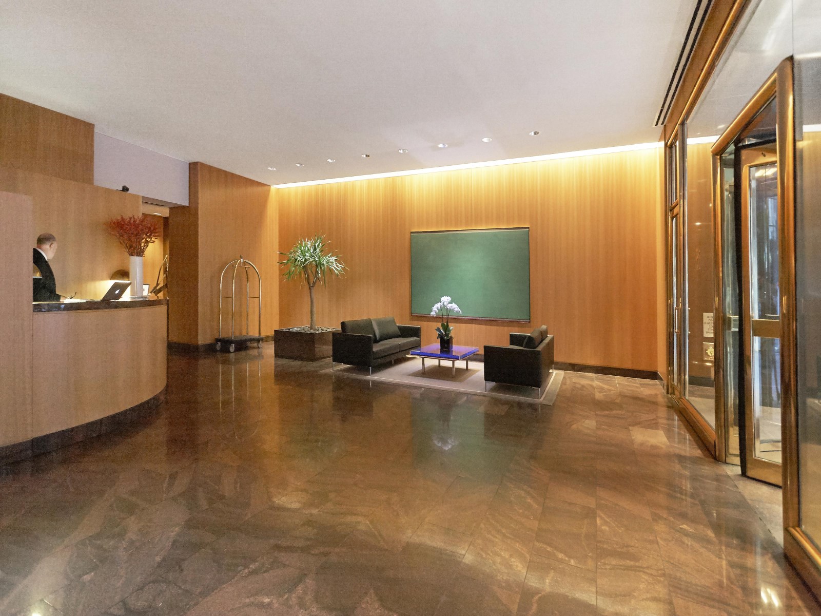 Luxury Apartment NYC_ 15 West 53rd Street5.jpg