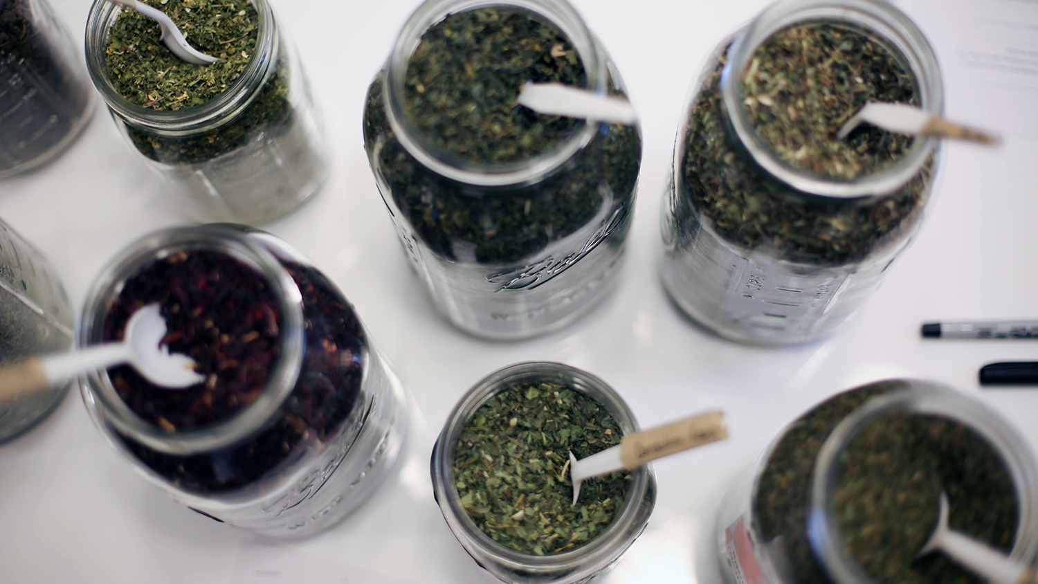 WEB-2-herbs-mason-jar-terra-luna.png
