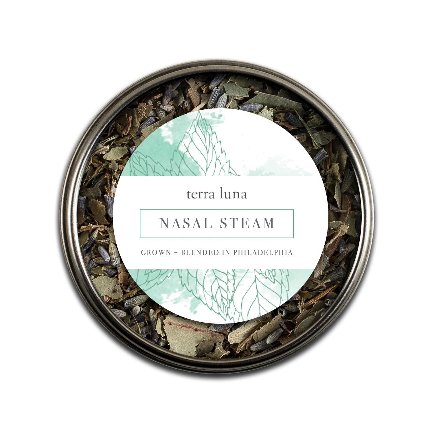 terra_nasal.A.png