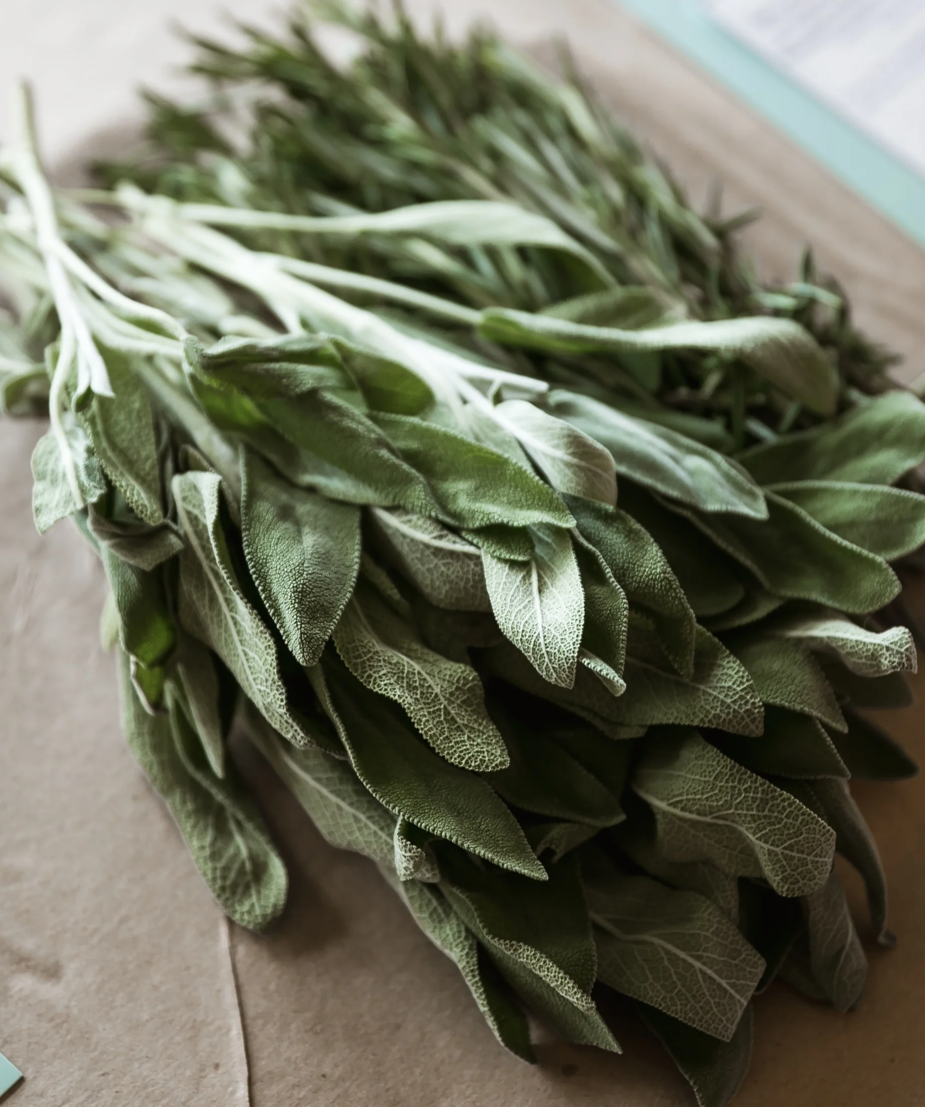 herbs.jpg