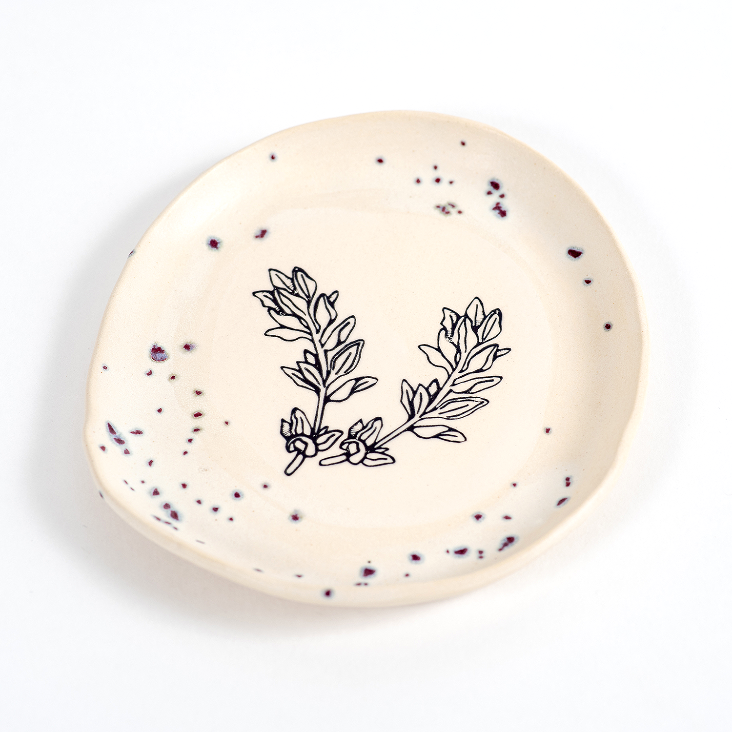terraluna_plate.png