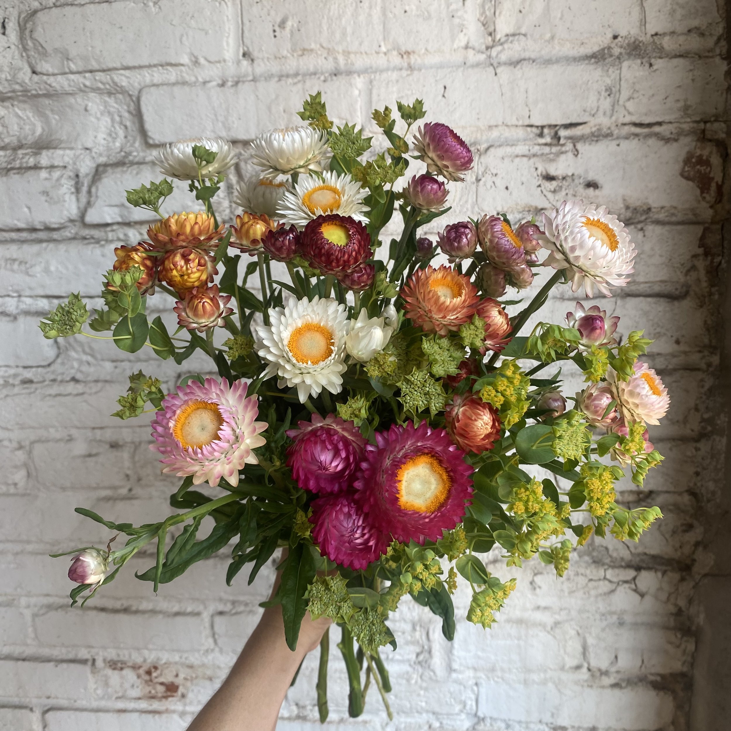 Mixed Strawflower bouquet