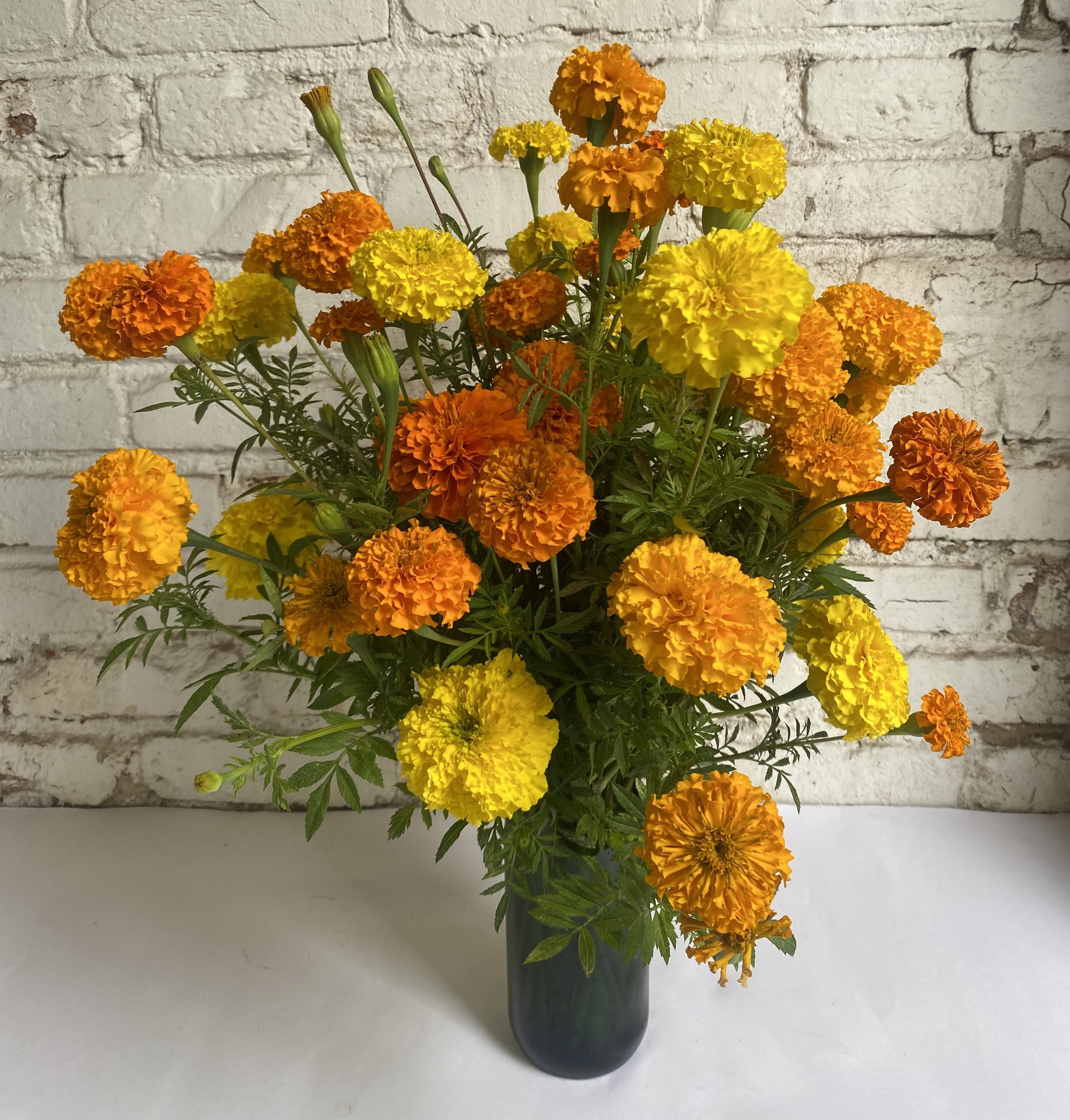 marigold vase.jpg