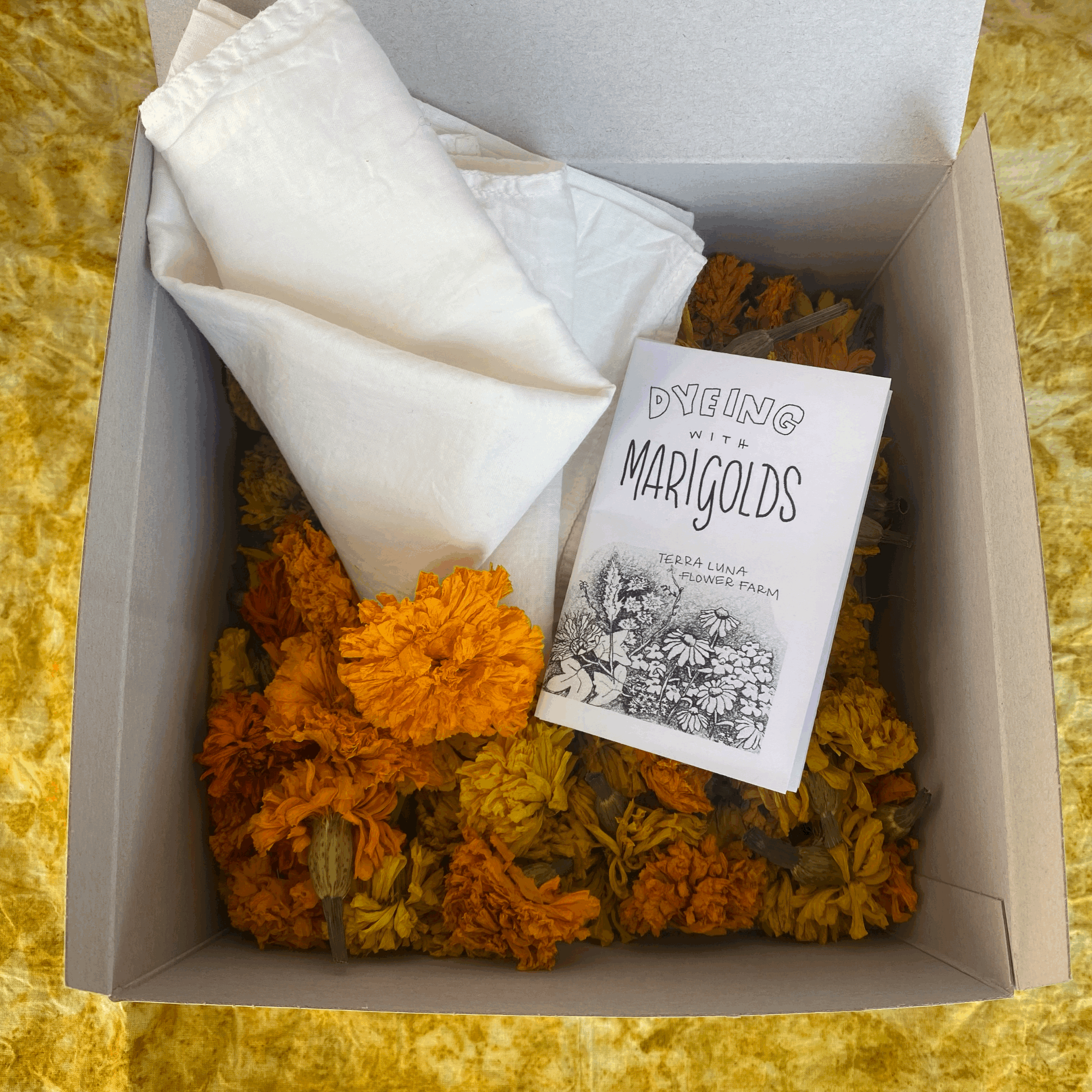 Marigold Dye Kit