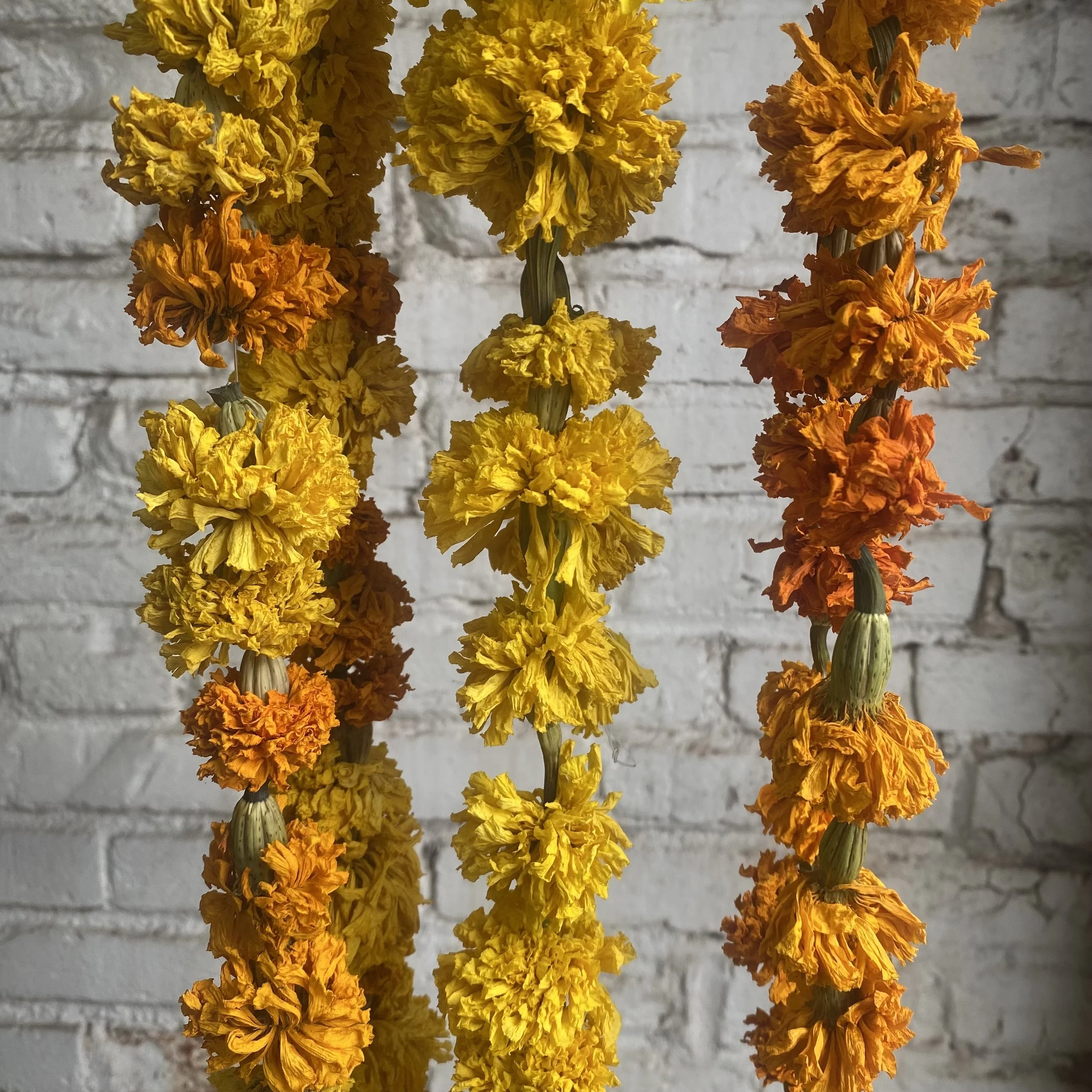 marigold garlands up close.jpeg
