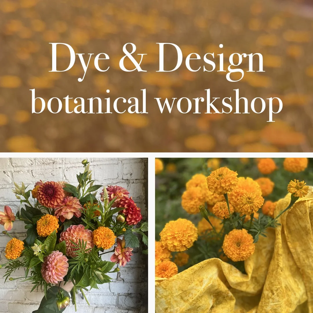 Dye + Design workshop with Terra Luna and Earthen Color