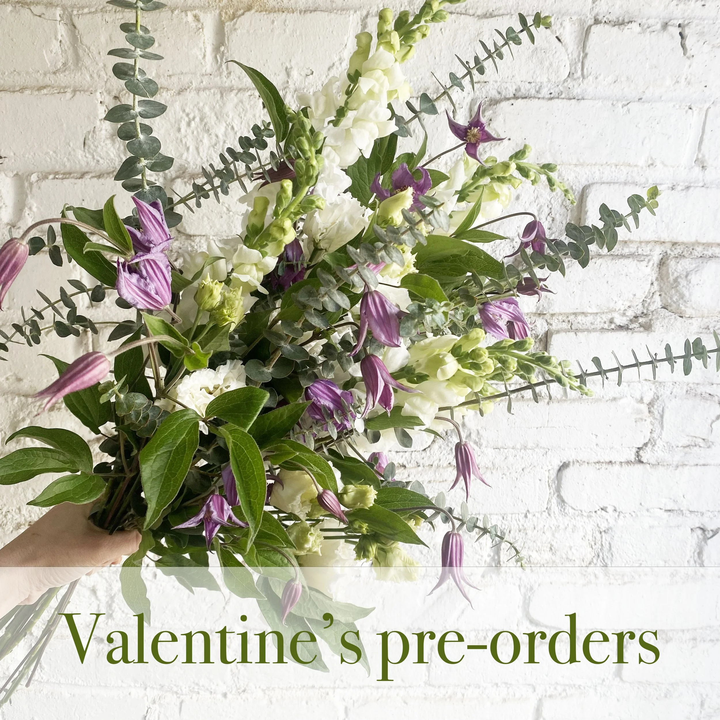vday preorders square copy.jpg
