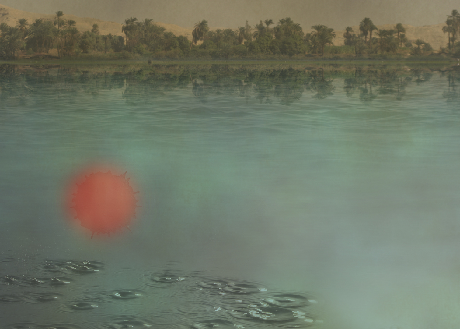 Water Into Blood