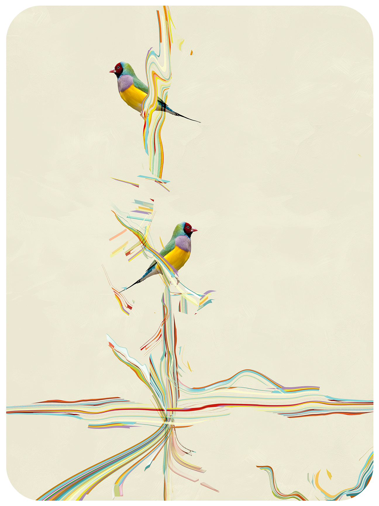Two Finches by Day 2017