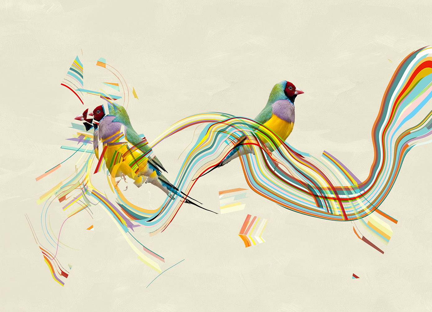 Fragmented Finch - Space in Bird 2017