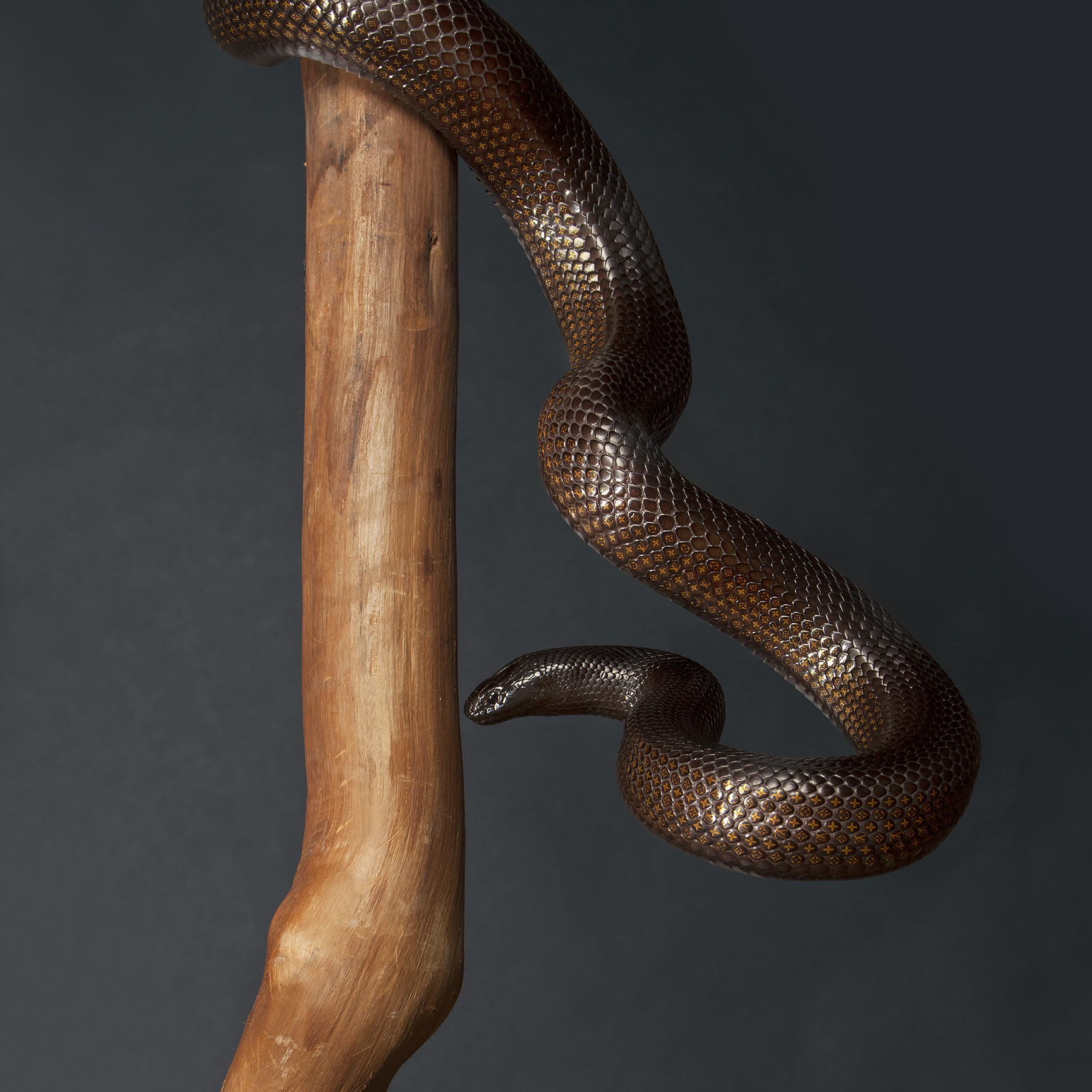 Louise Vuitton Snake