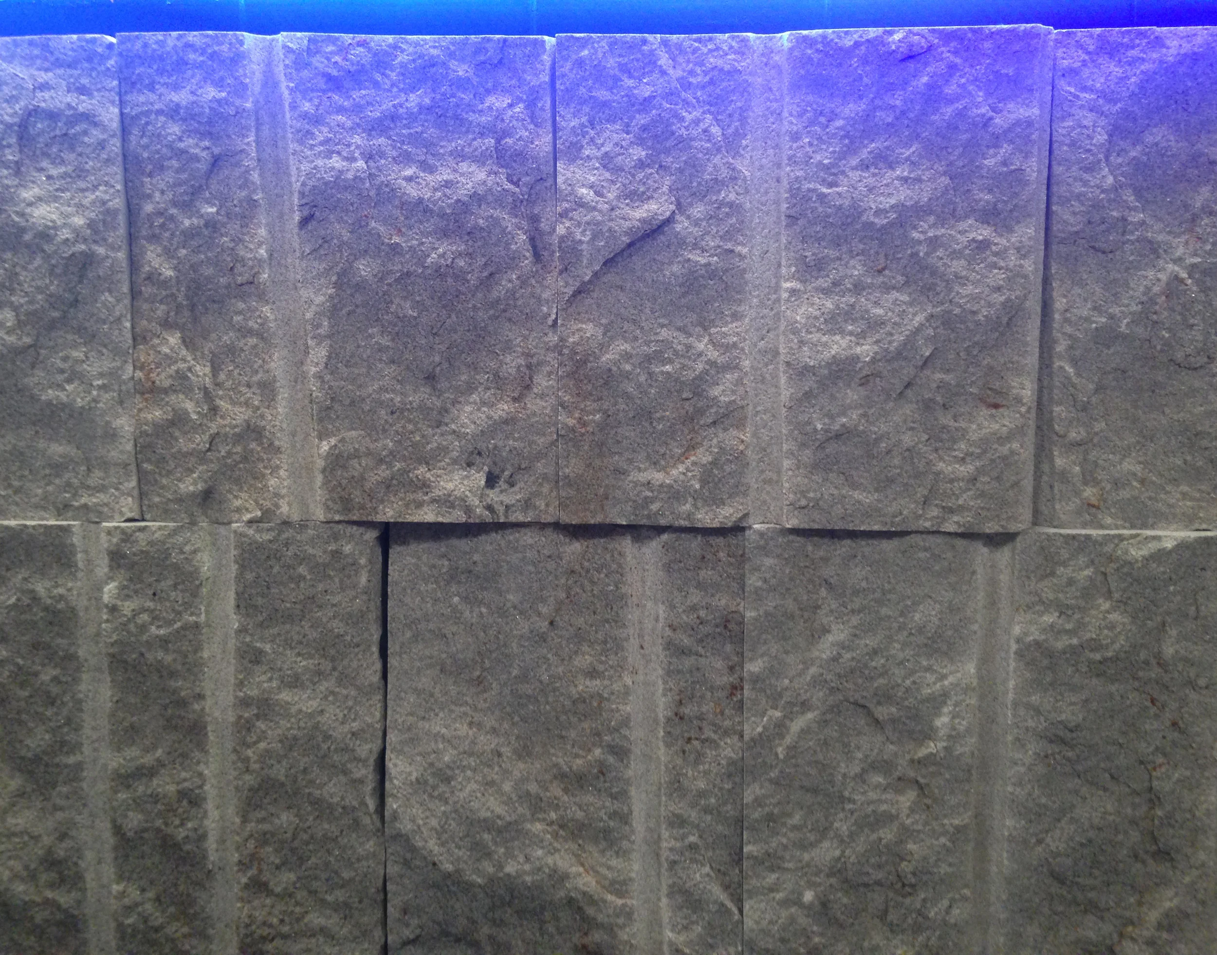 IMG Final Lembranzas 037.JPG