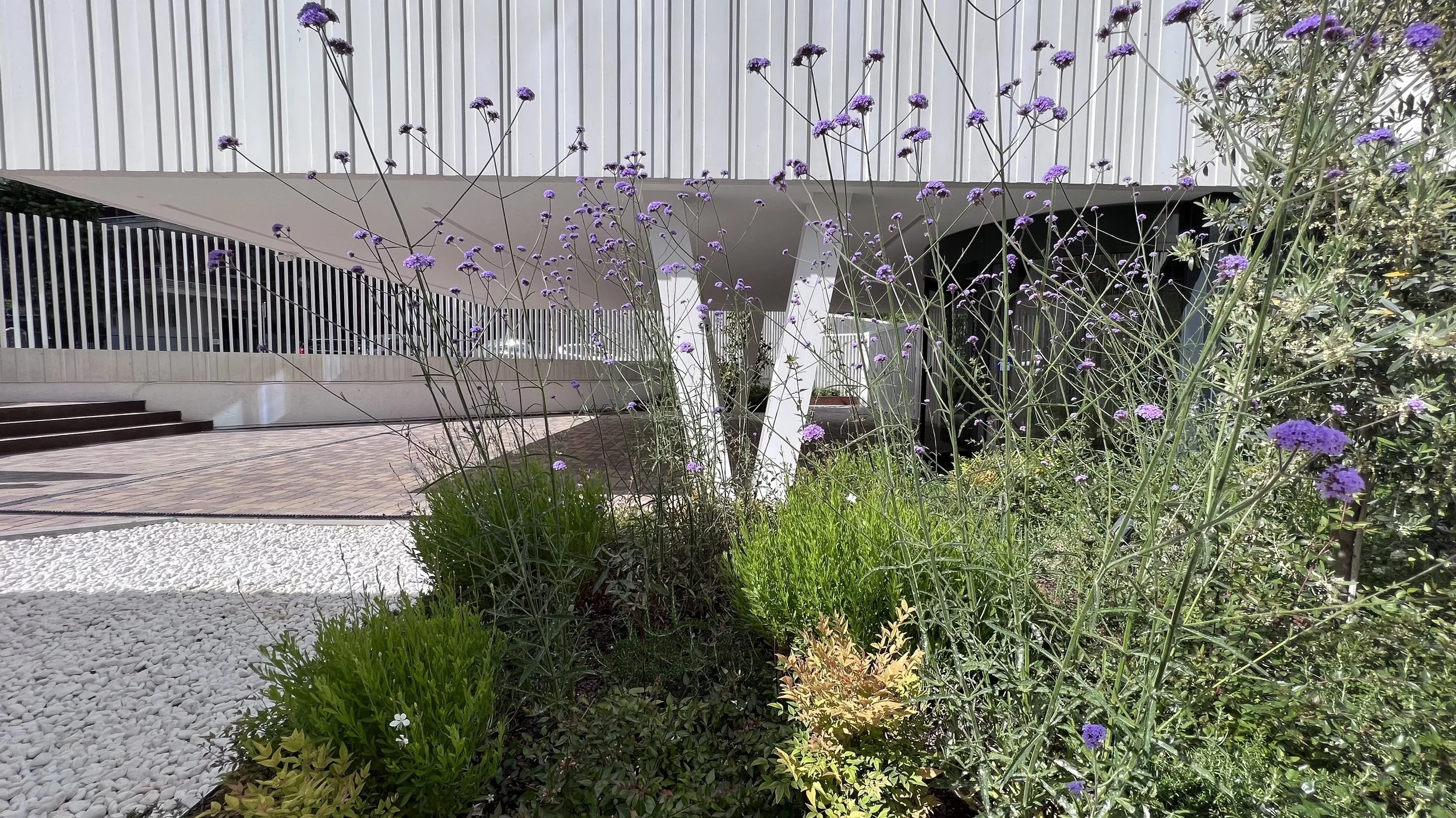 ACCESO BAJO VOLUMEN REPRESNTATIVO