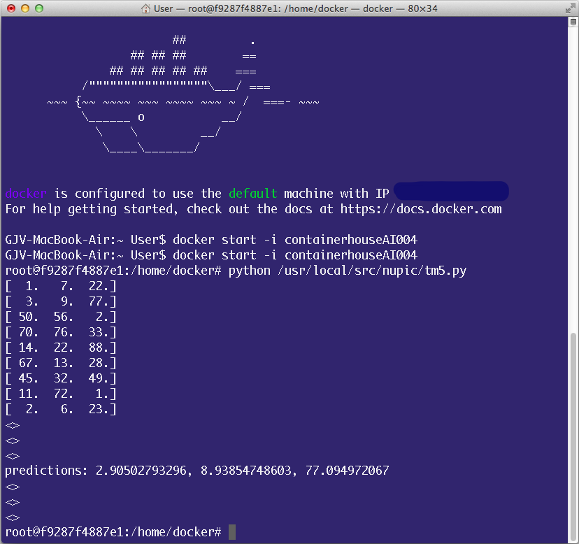 Running NuPIC via python/c++ inside a docker container