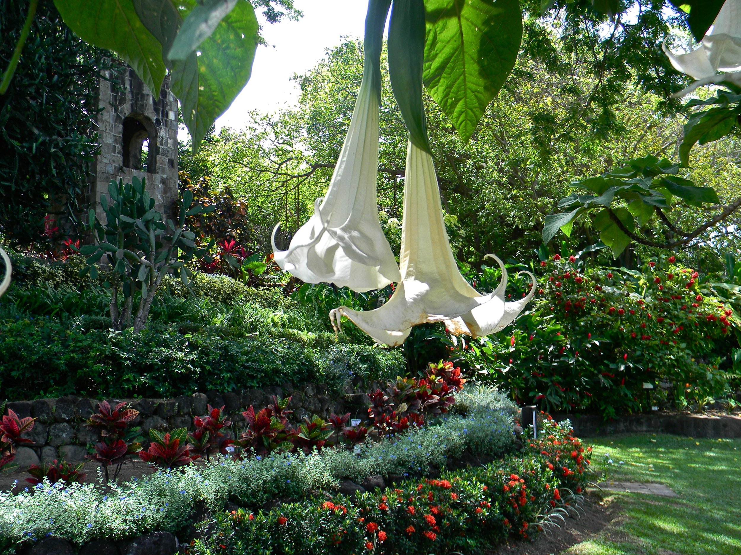 DSCN5707.jpg