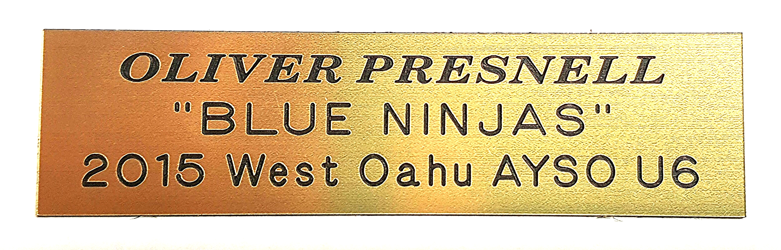 Trophy Engraving Plate Sample