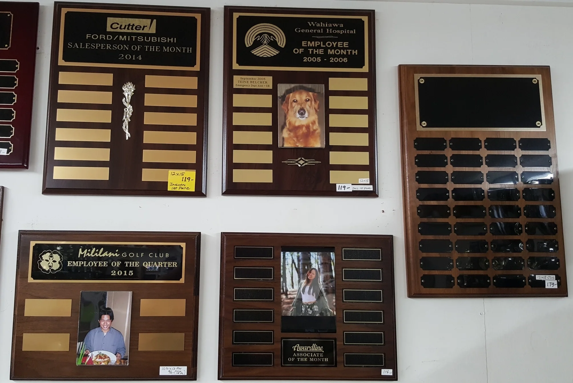 Perpetual Plaque Samples 119.00, 119.00, 179.00, 96.00, 114.00