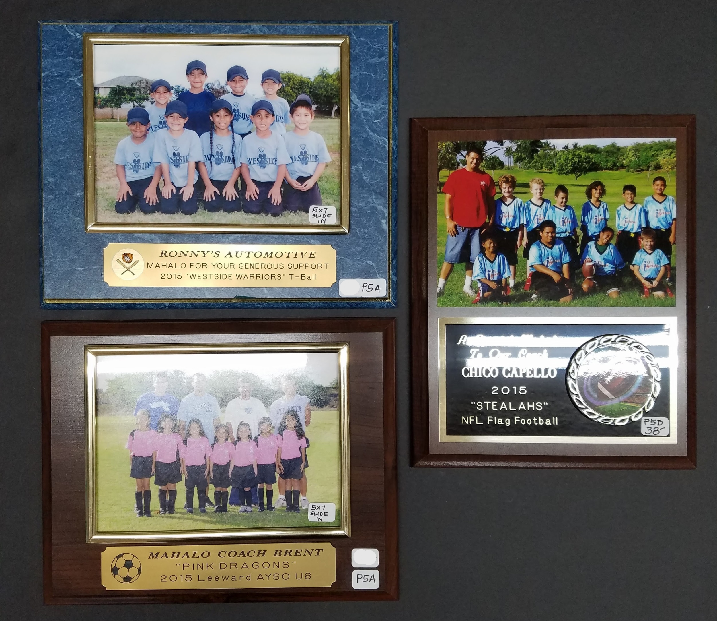 8x10 Plaques P5A - 24.00, P5A - 24.00, P5D - 38.00