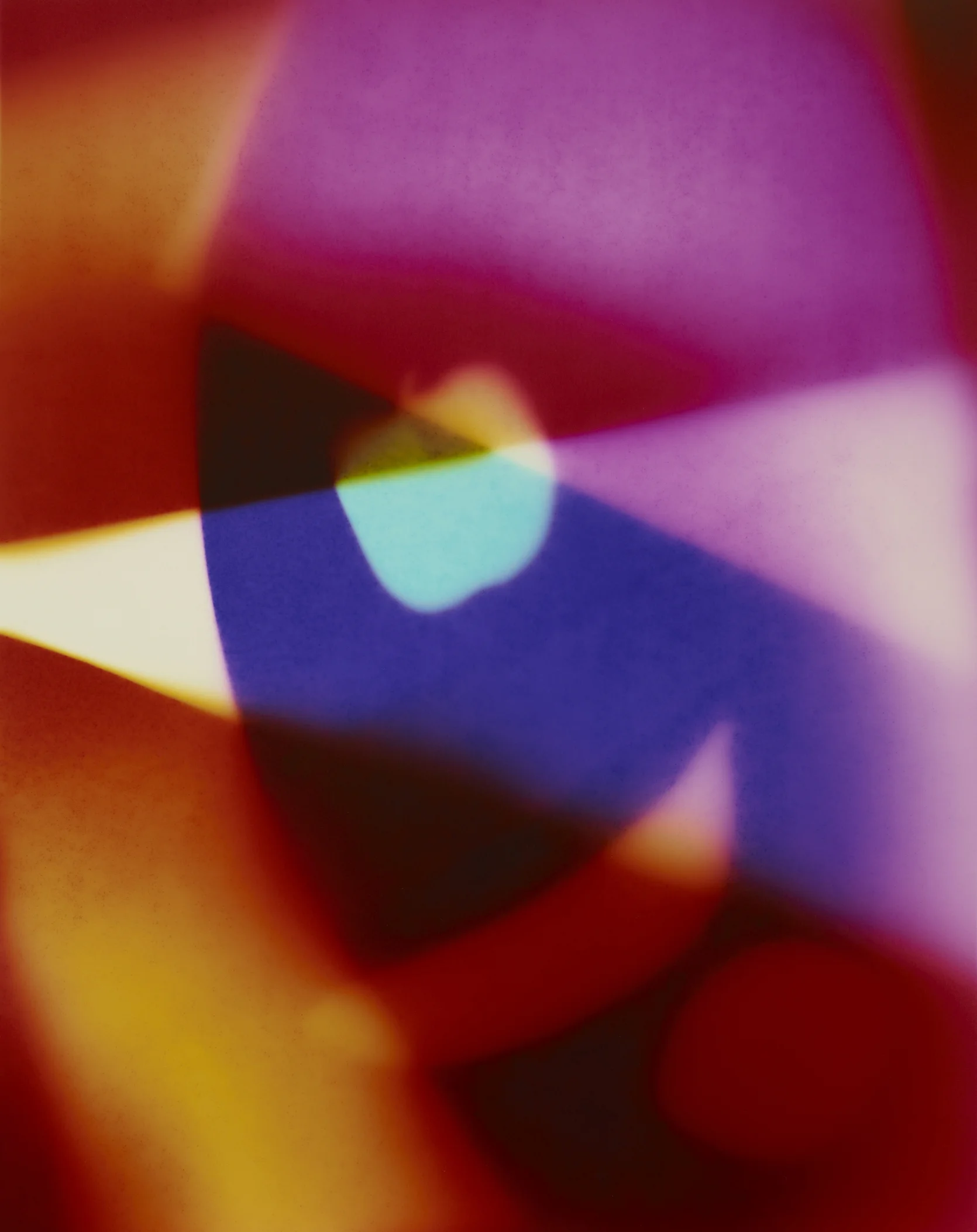 CHAD_PITMAN_FADED_FRUIT_2 copy.jpg