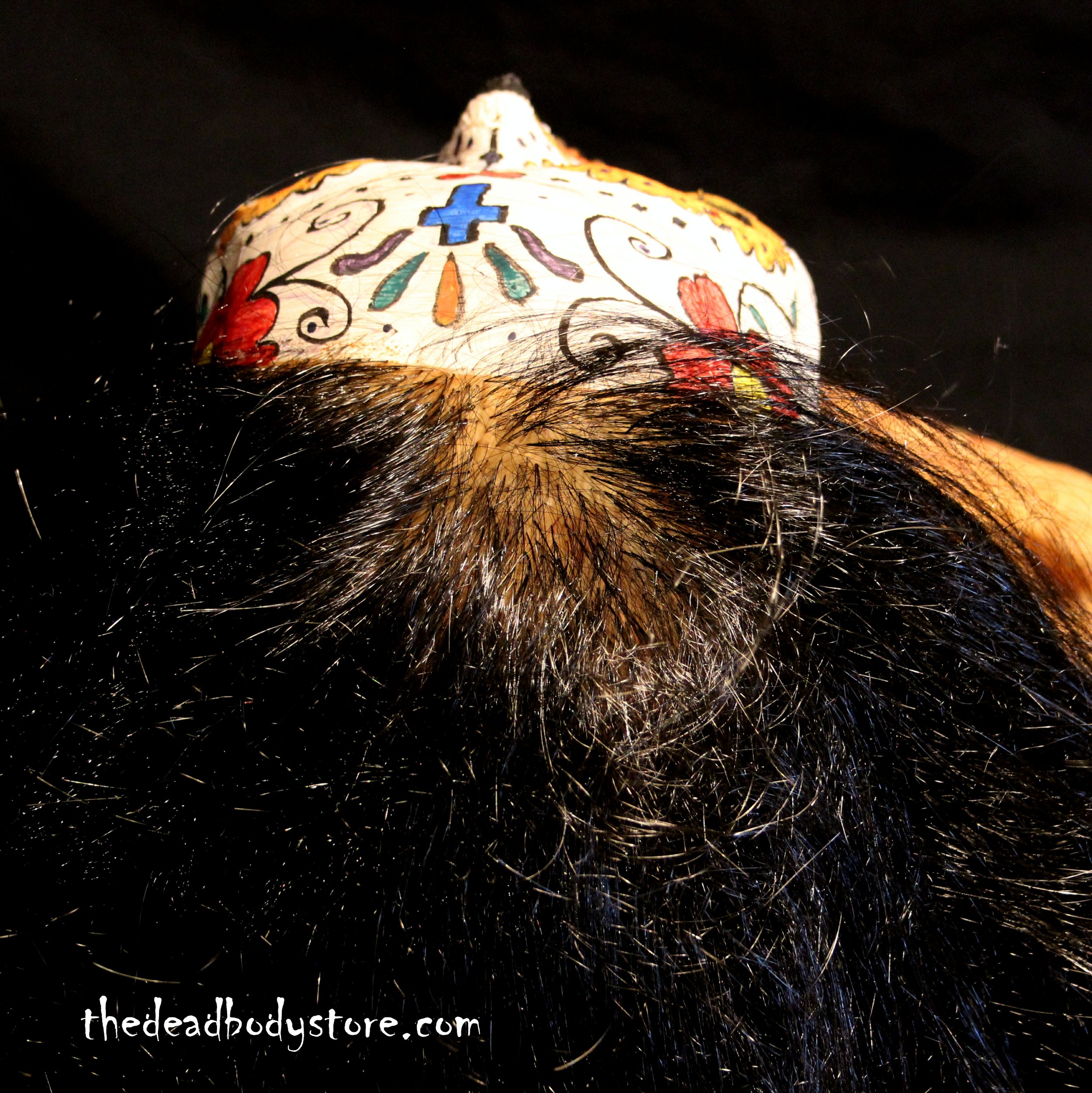 IMG_4448_Fotor.jpg