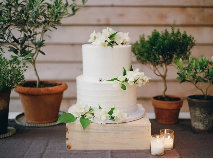  Meg Messina Photography 