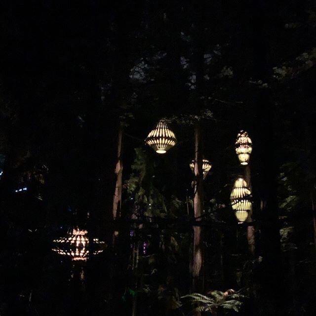 Last night was a magical night walking on rope bridges high in the tree tops....
.
.
.
I&rsquo;ve been totally absent on posting during the New Zealand trip. I got behind and just haven&rsquo;t had the heart to try and catch up. I may still post some