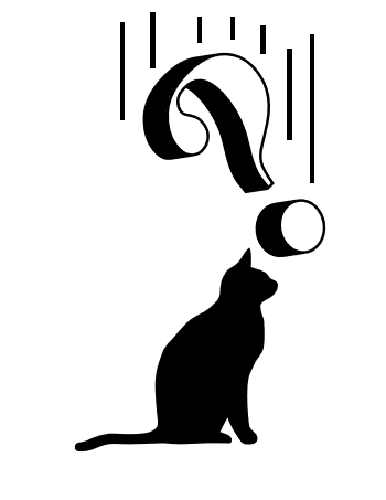 catcuriosuty.png
