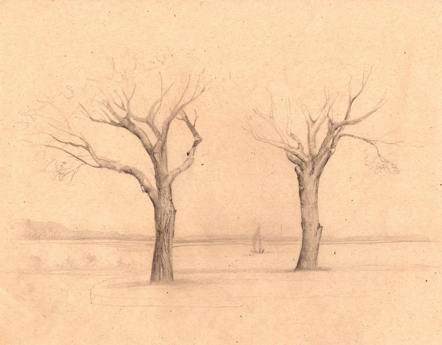 drawing-trees-sandy-hook-sketch.jpg