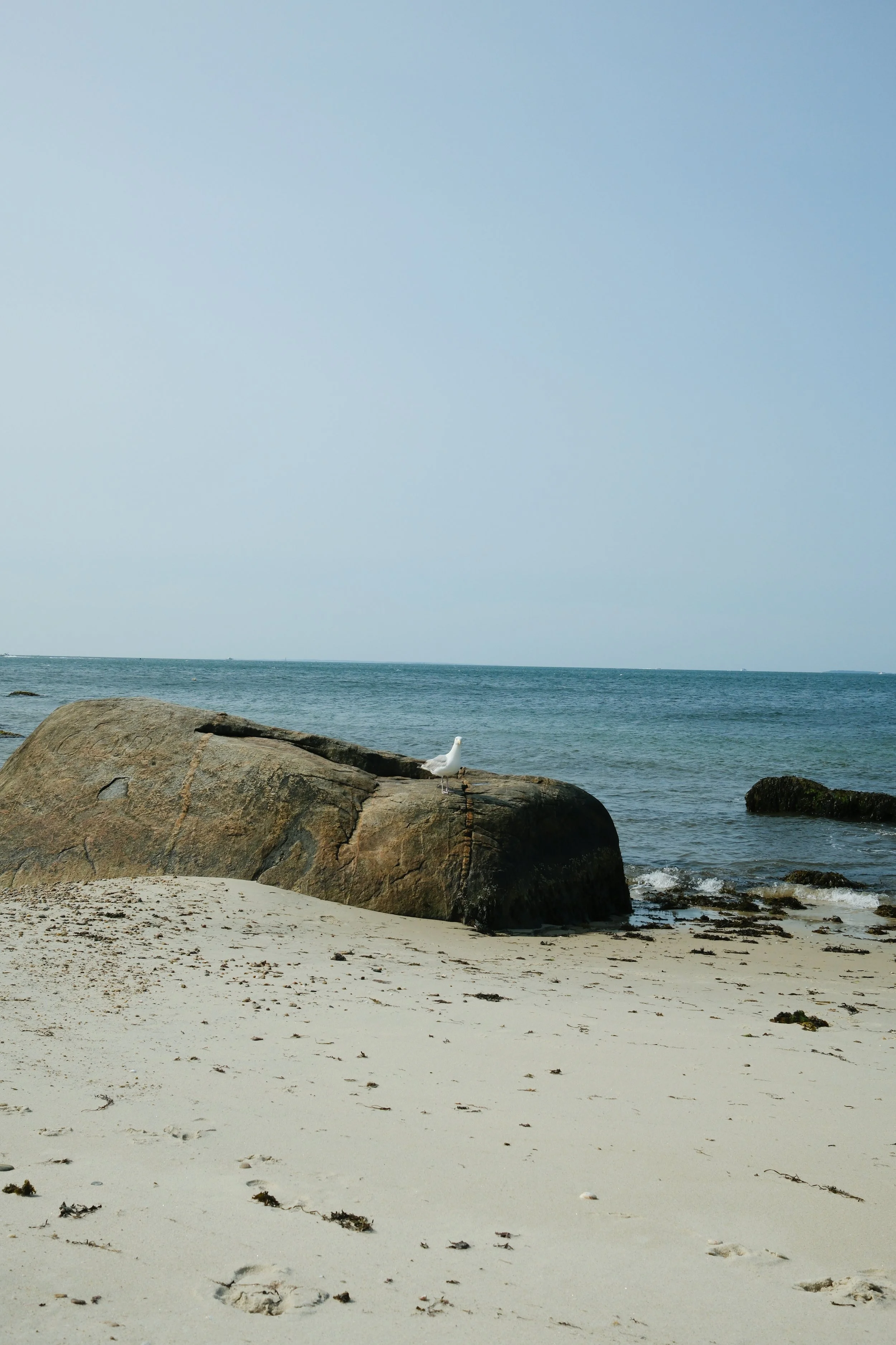 photo10.jpg