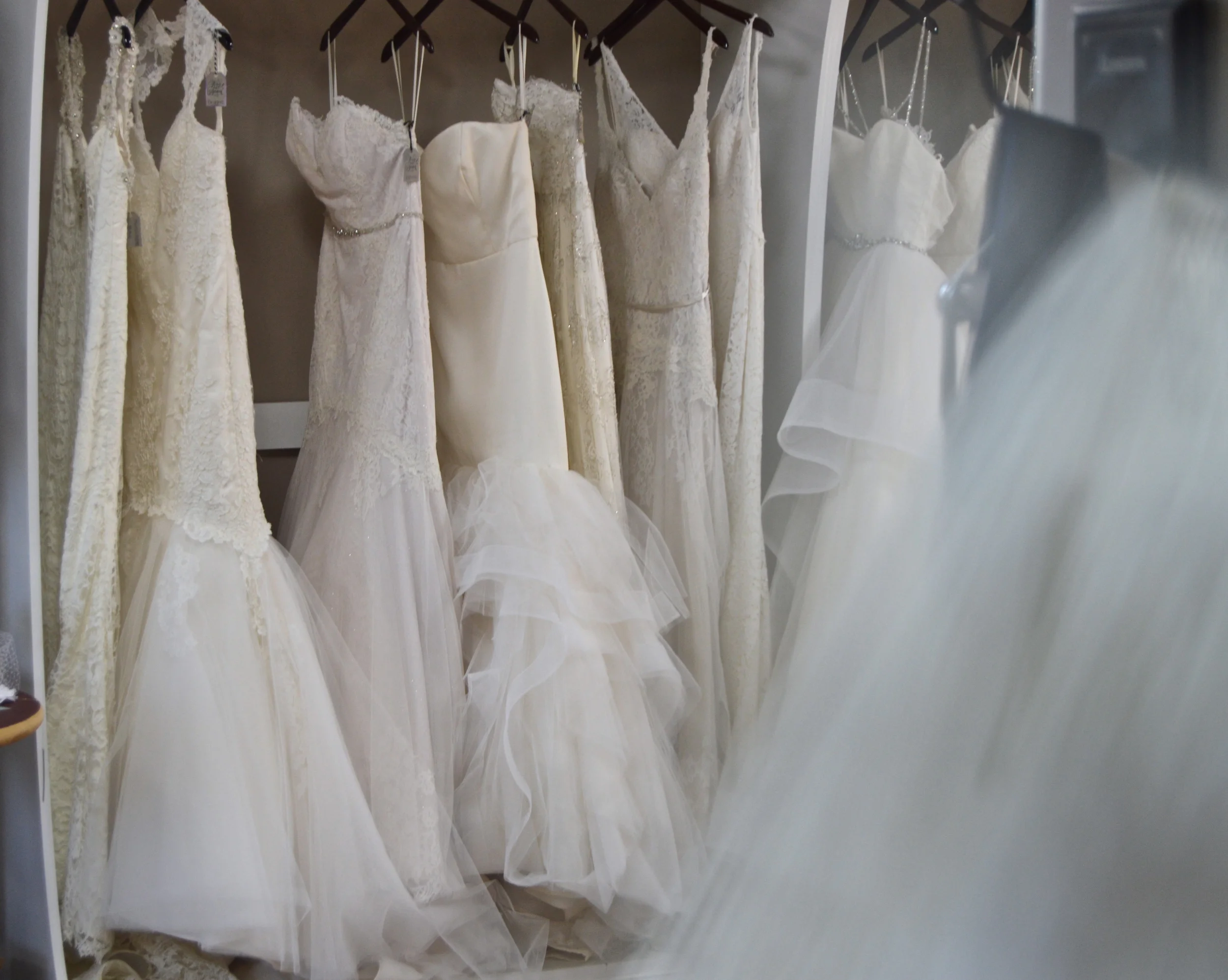 Ivory and Beau | Destination Wedding Savannah
