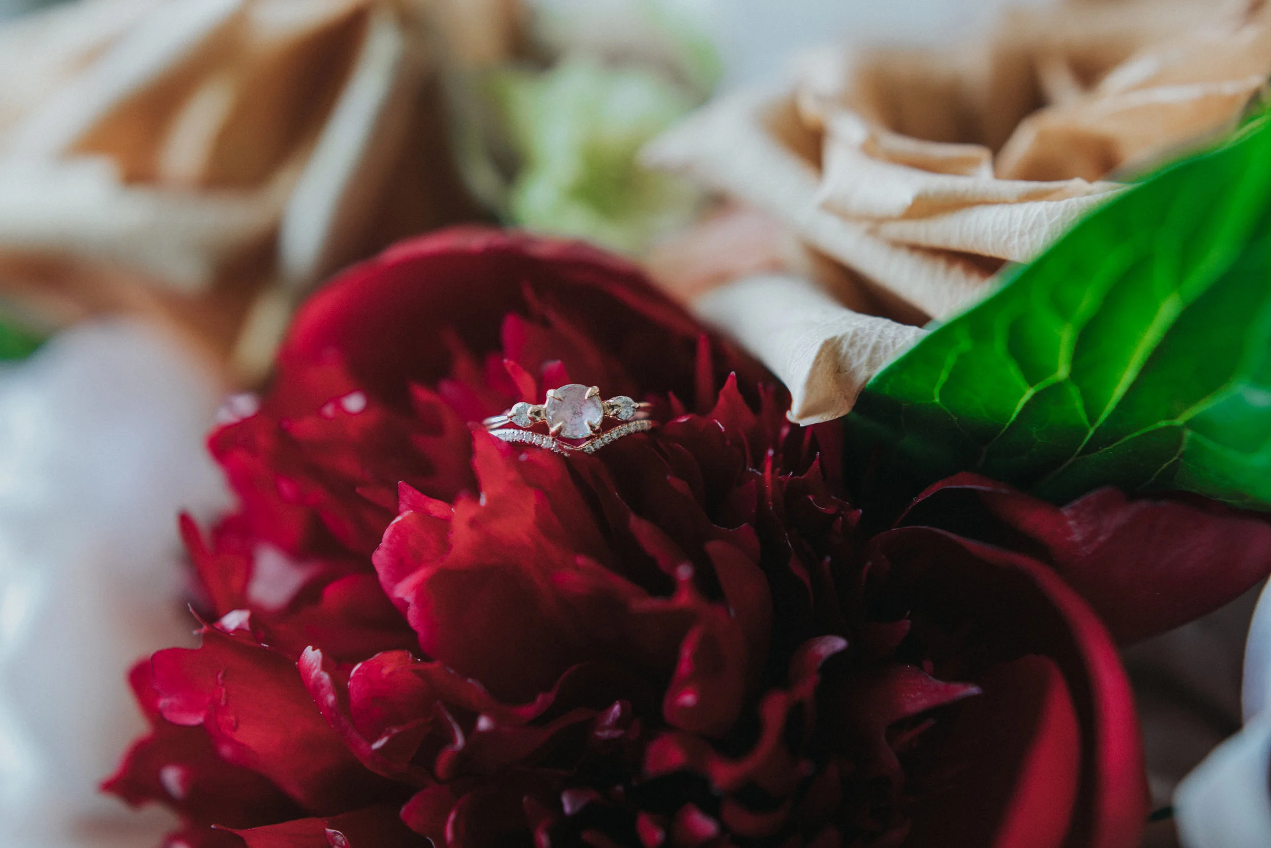 lauranddinowedding-6.jpg