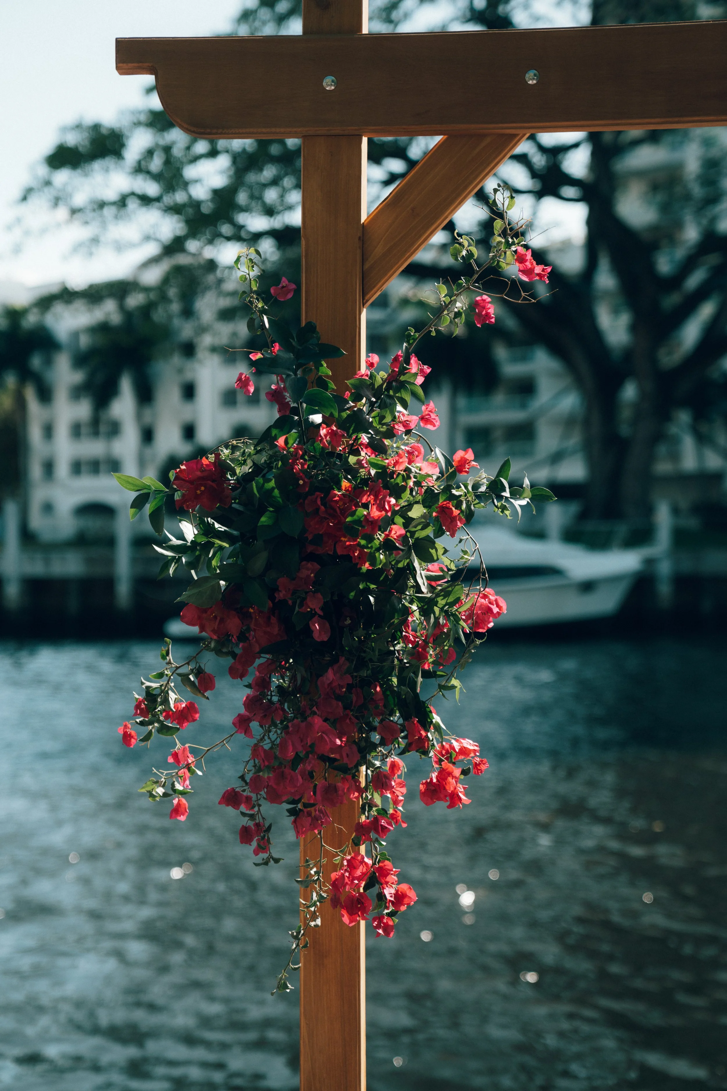 bydanieladavis-661.jpg