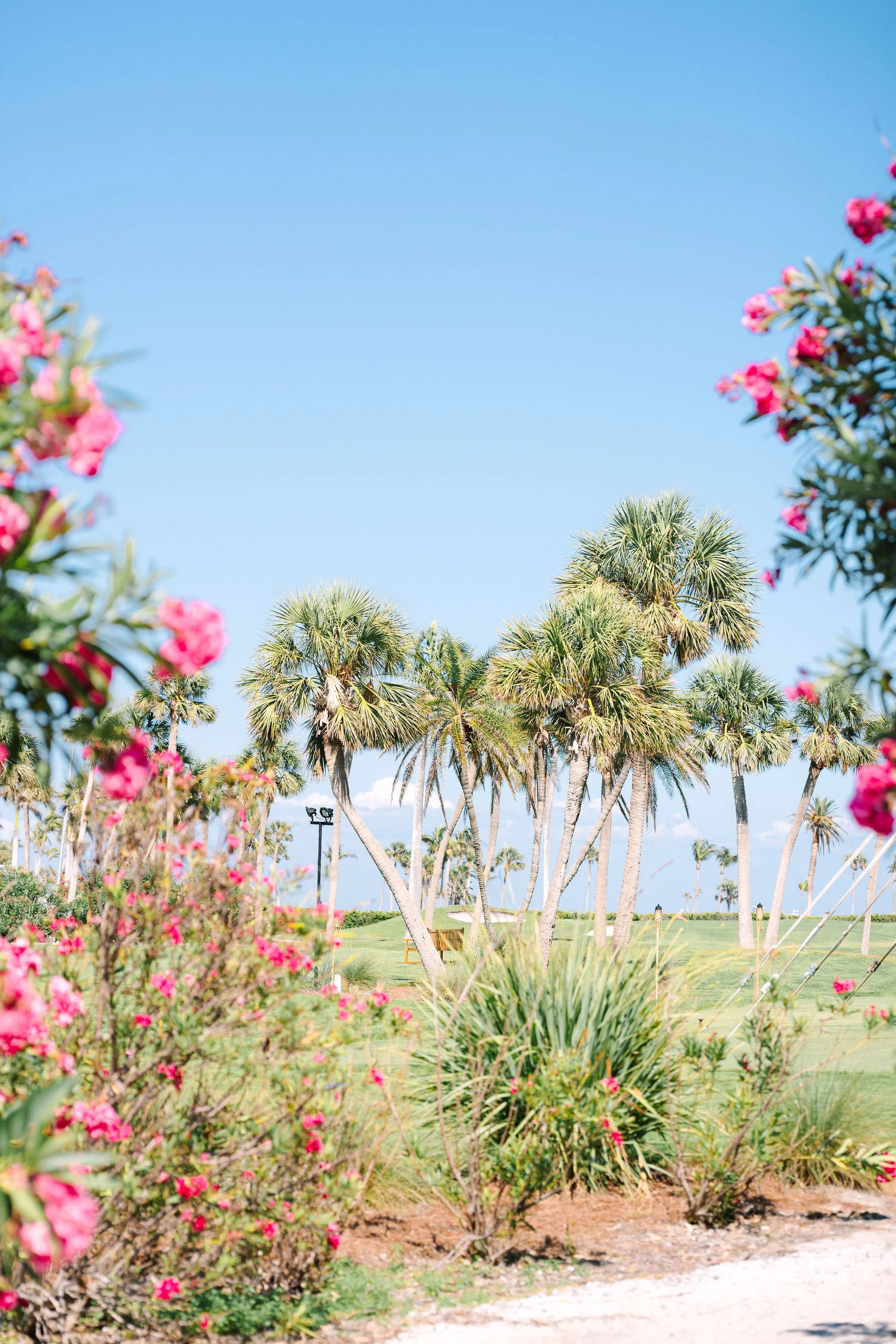 Gasparilla Inn Wedding Venue