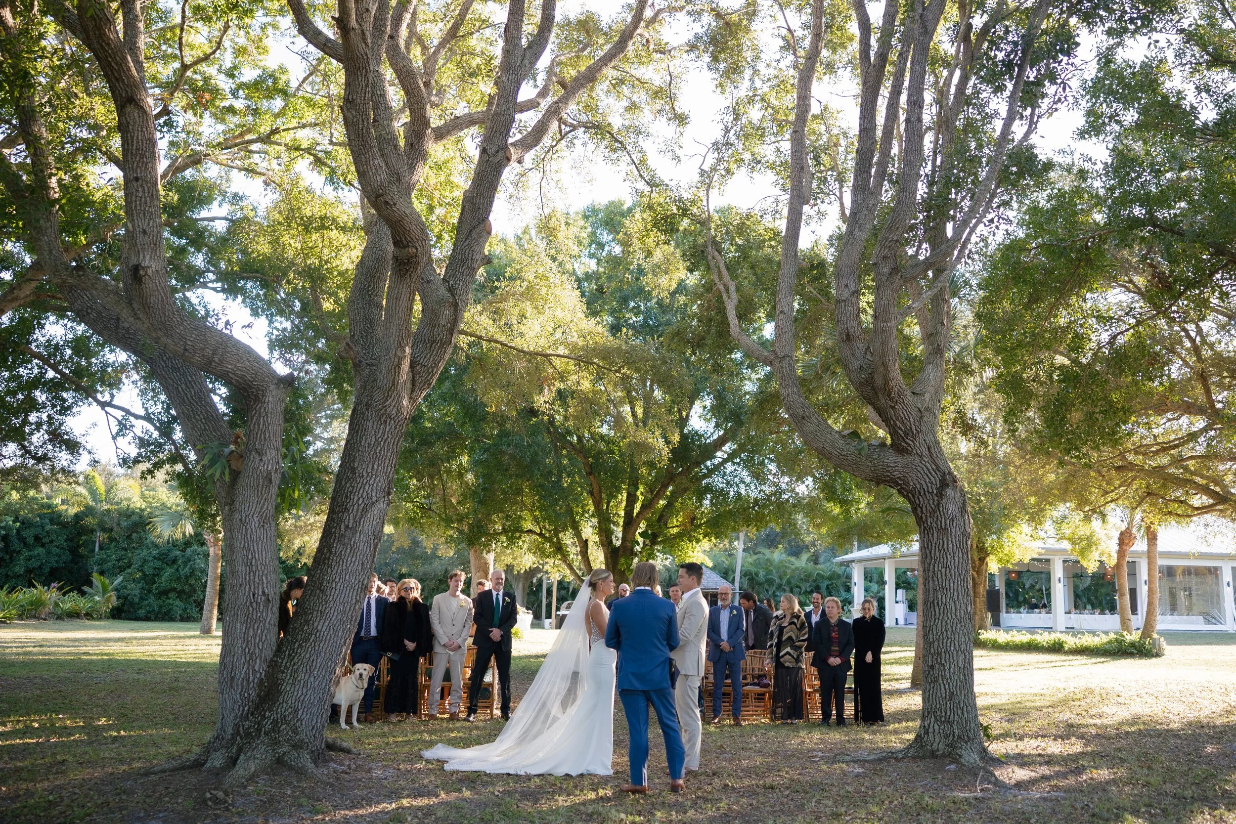 Tree house vero beach wedding venue
