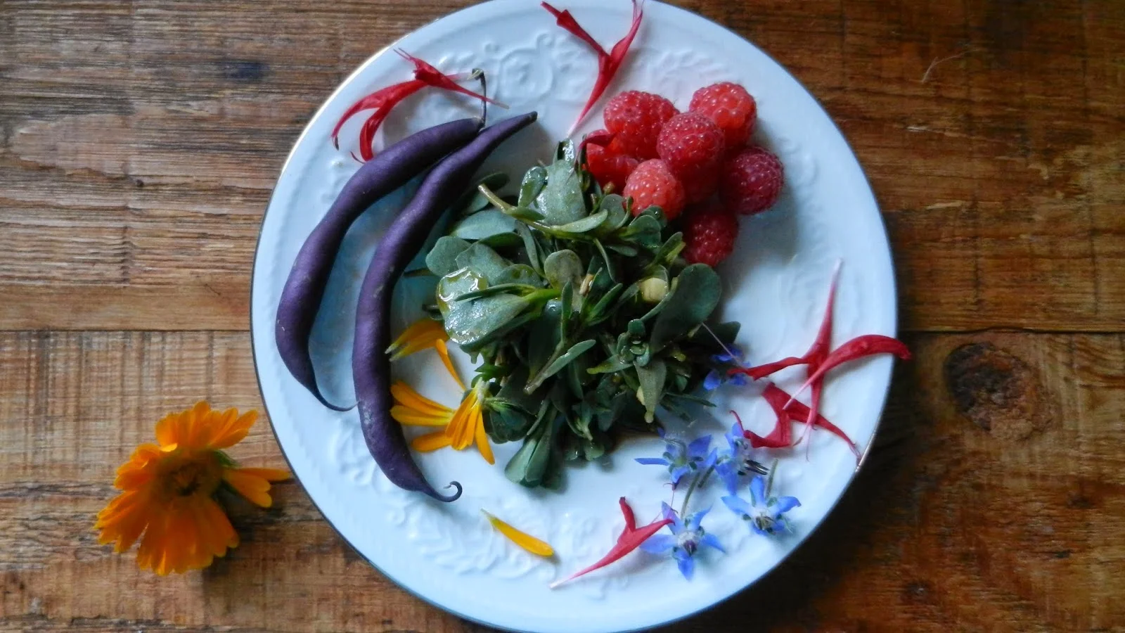 Purslane & Flower Salad