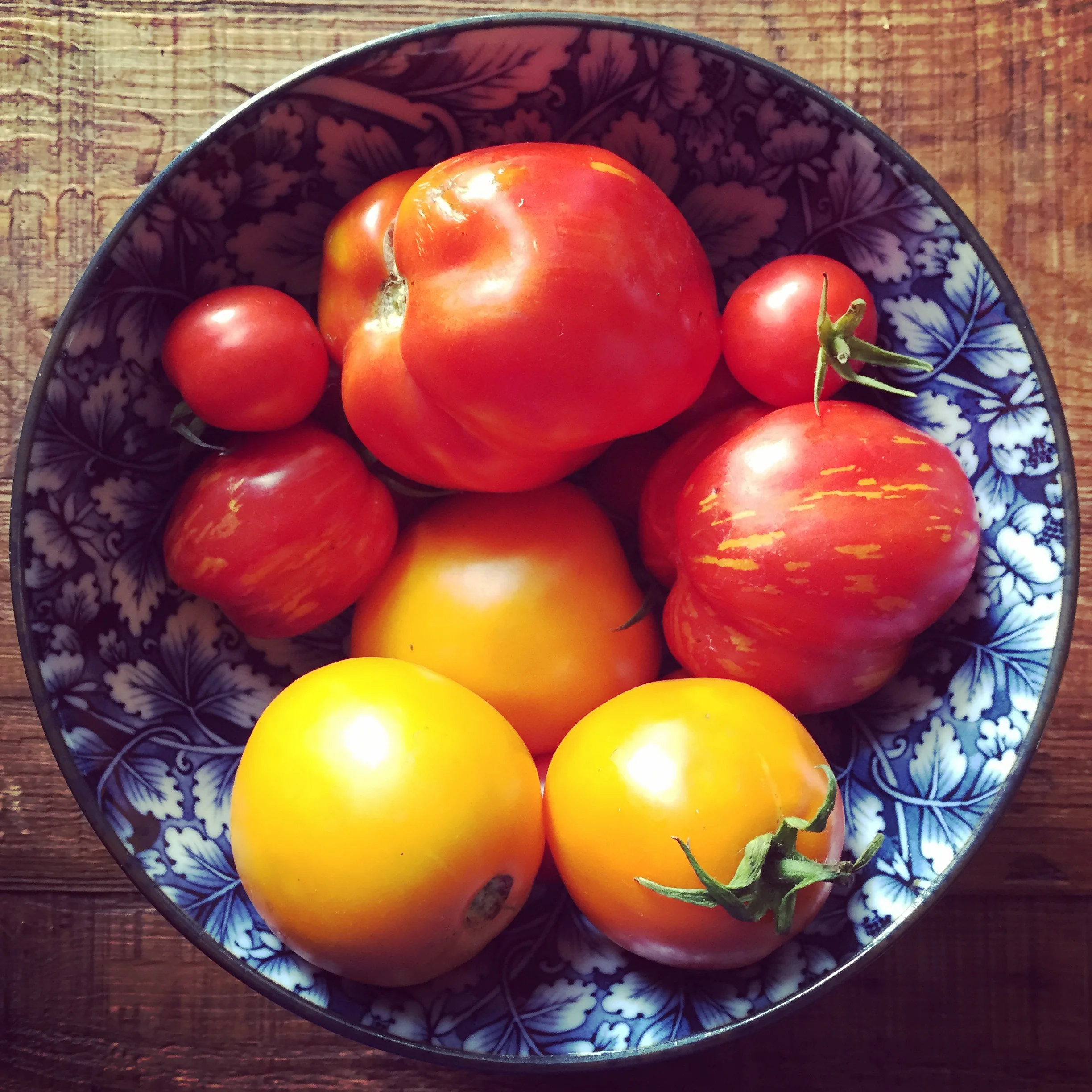Organic tomatoes from our garden.