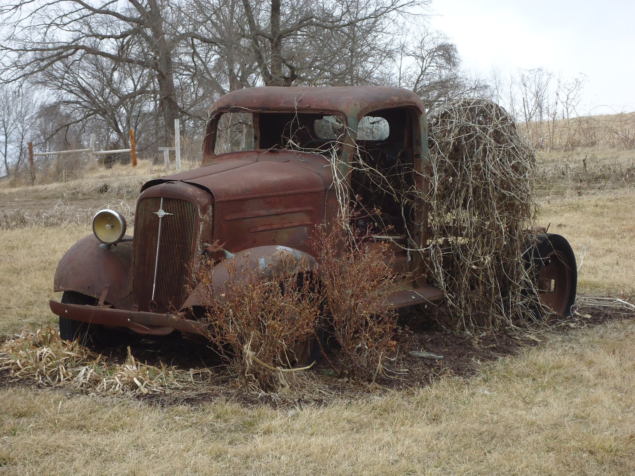 Berger Truck Flower Bed.jpg