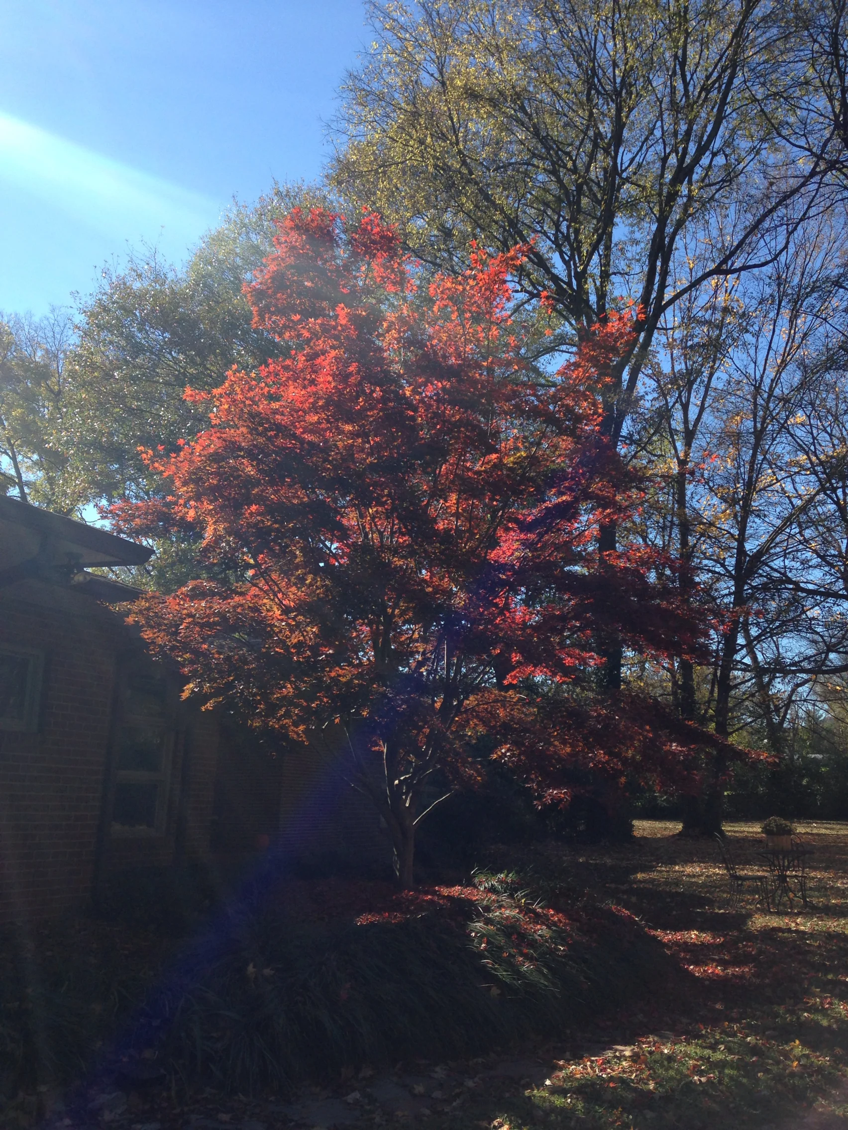 november colors | madeline made