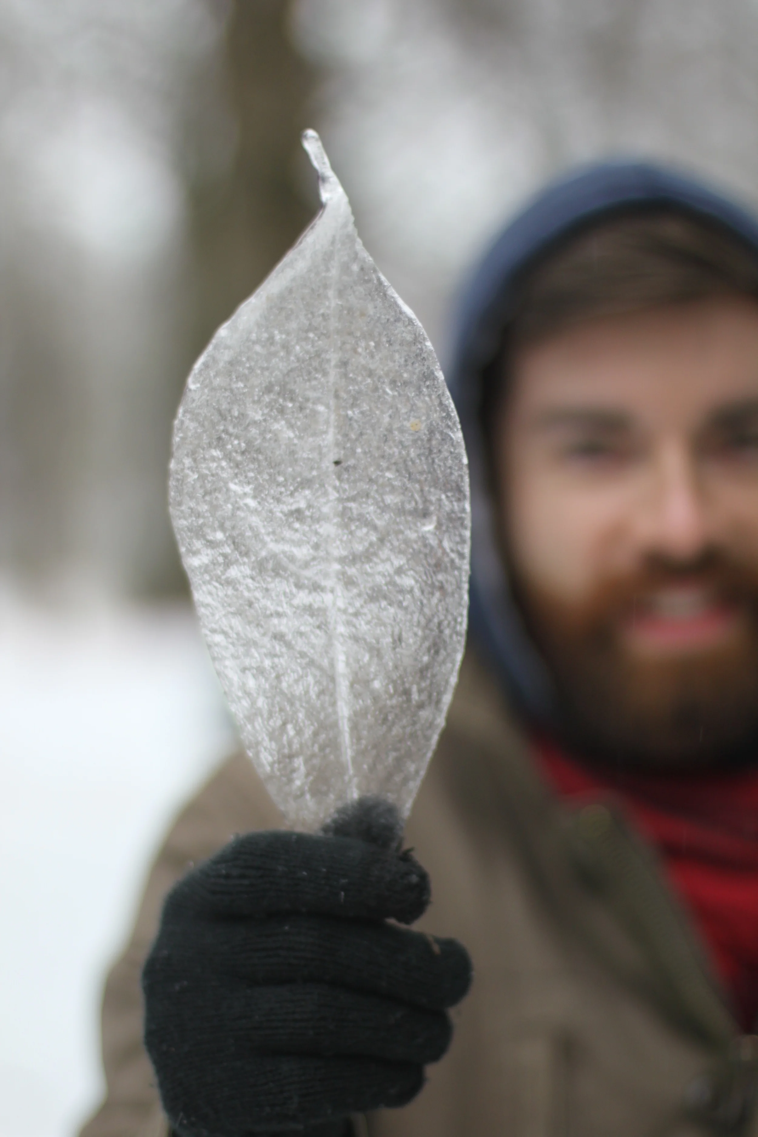 ice storm | madeline made