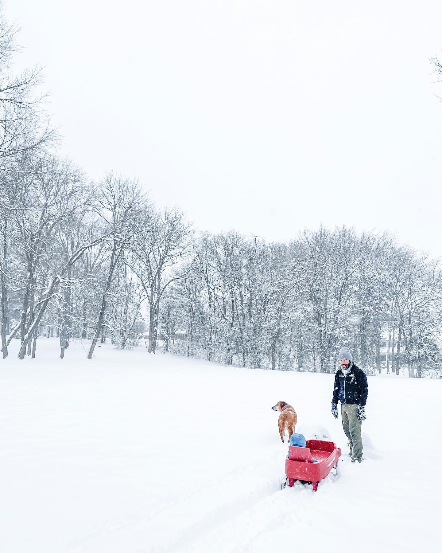 the most incredible winter wonderland this past week ❄️ seven inches of snow!