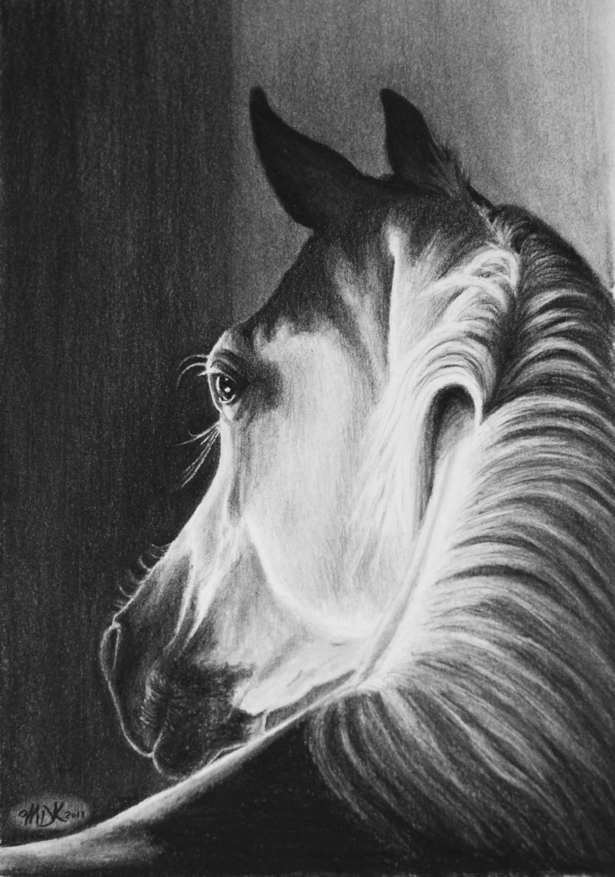 Shadowfax 1.jpg