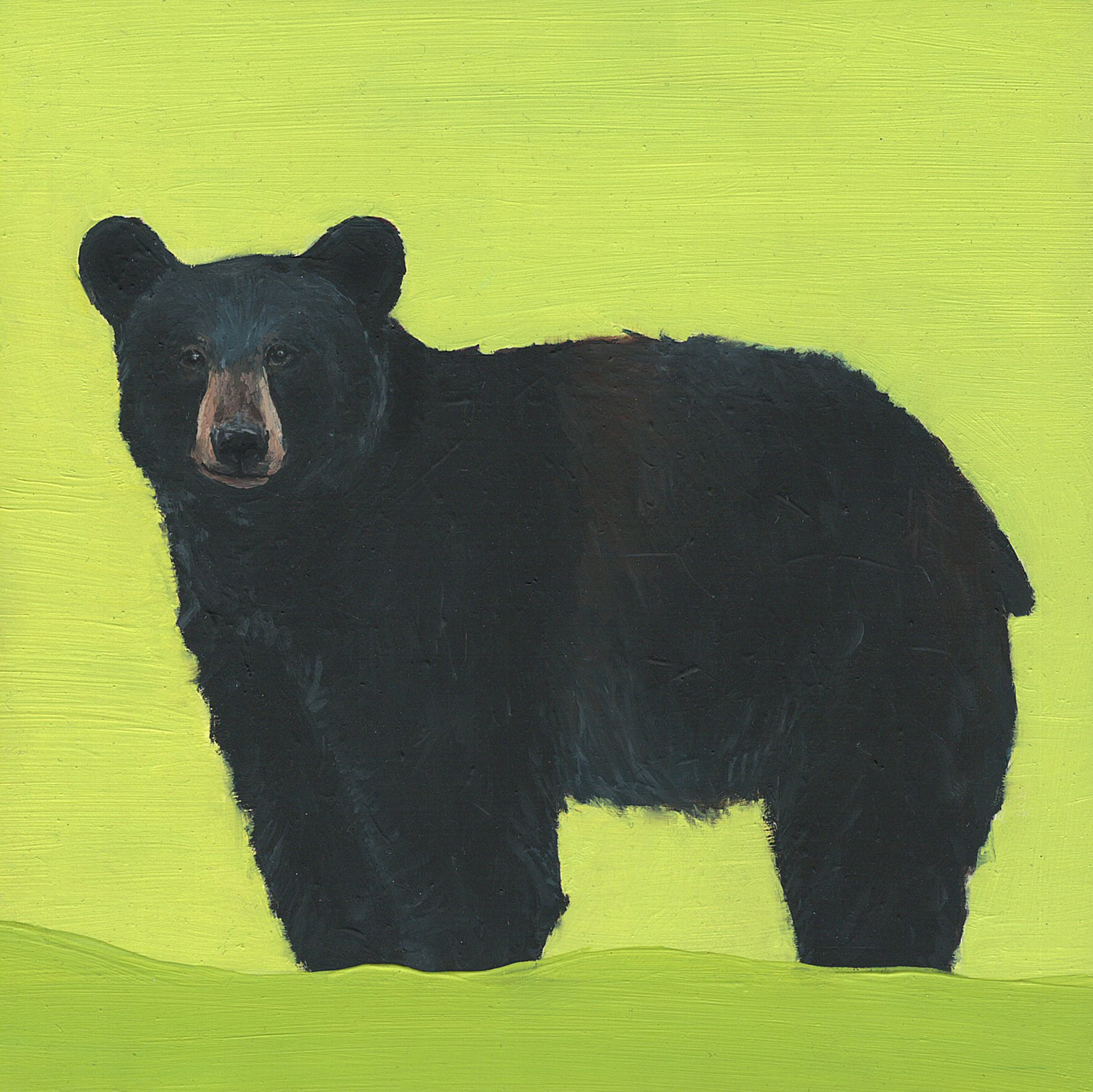 black bear.jpg