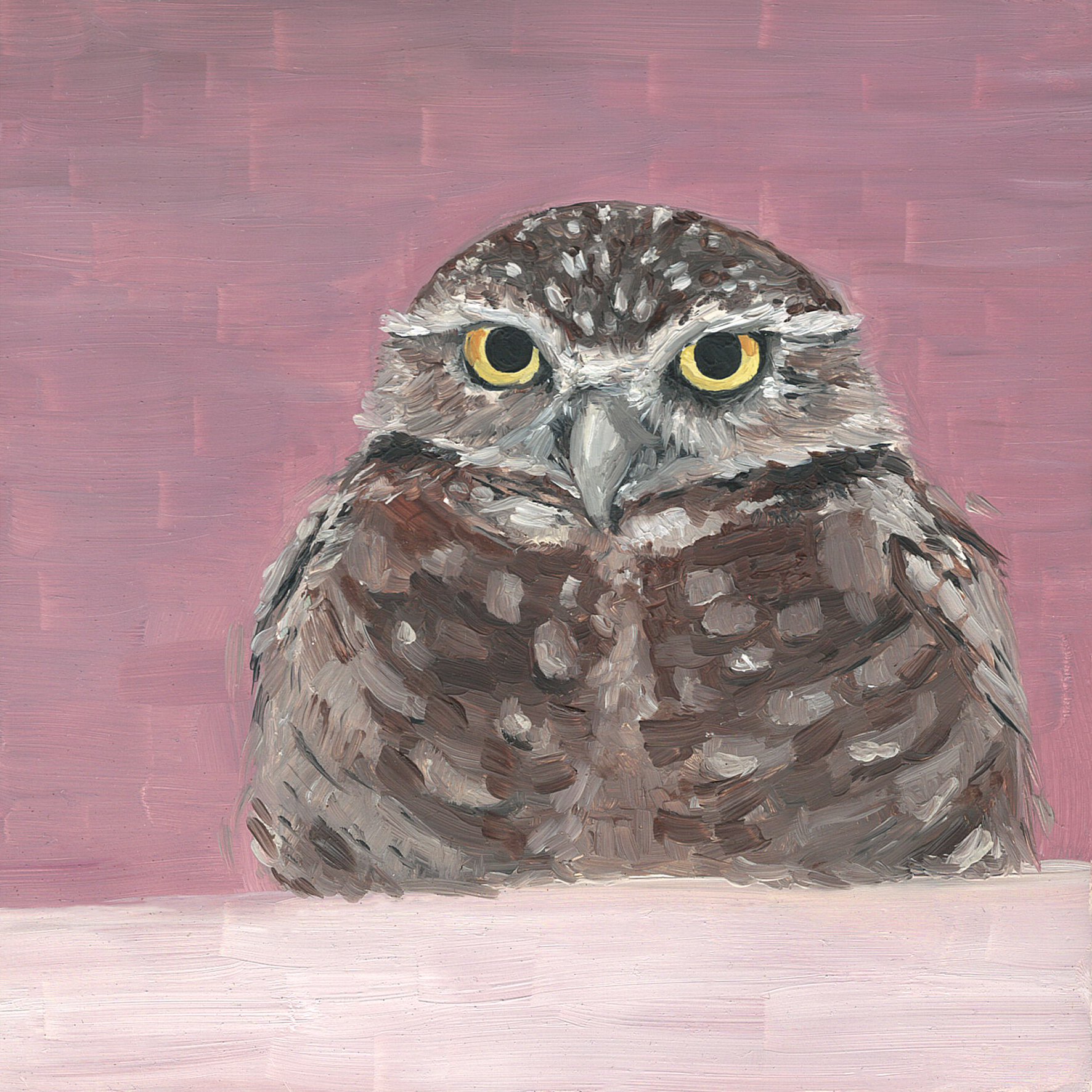 burrowing owl.jpg