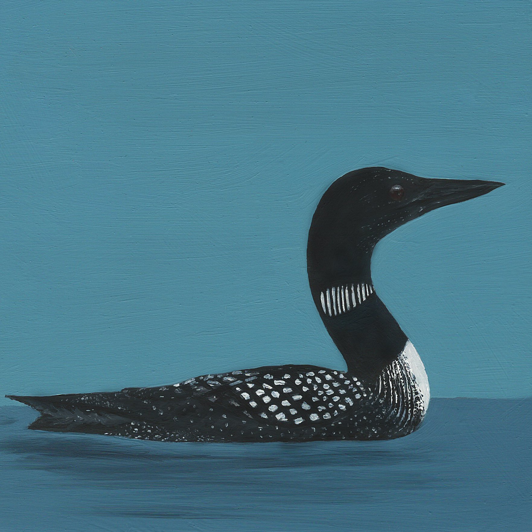 common loon.jpg