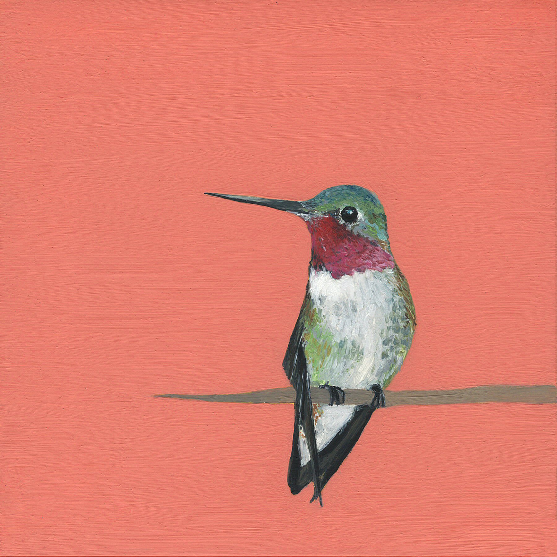 ruby throated hummingbird.jpg