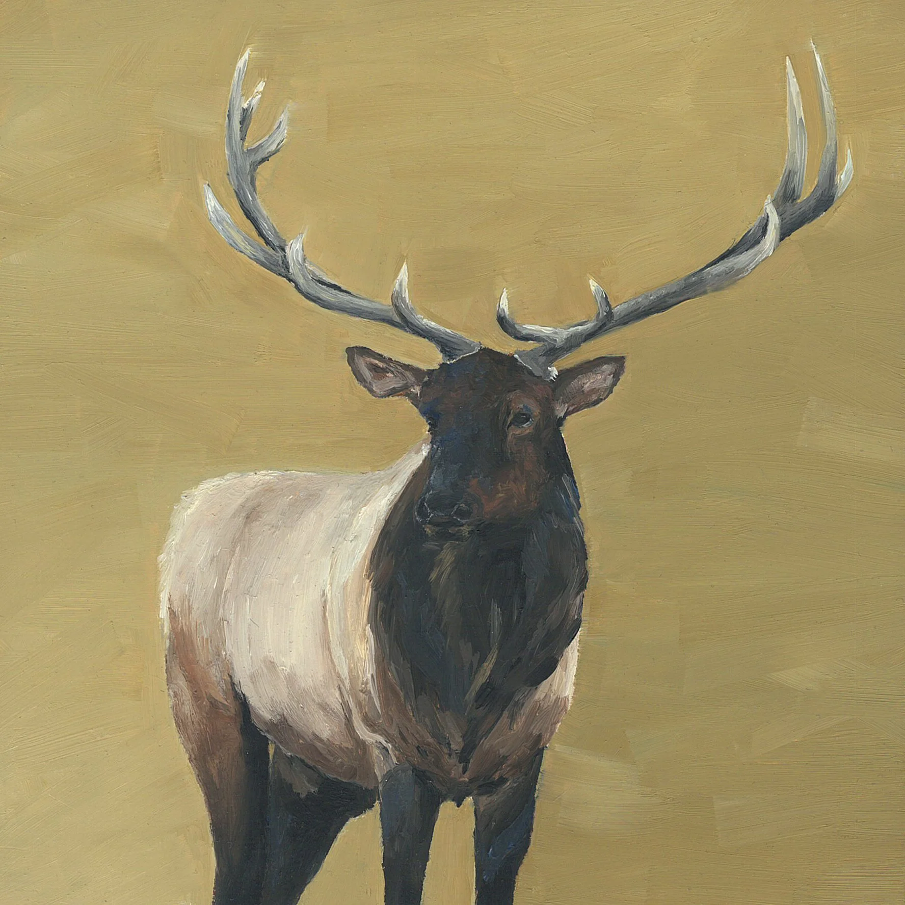 elk.jpg